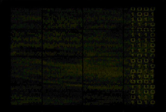 Fundo Animado